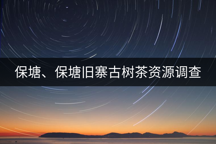 保塘、保塘舊寨古樹茶資源調(diào)查