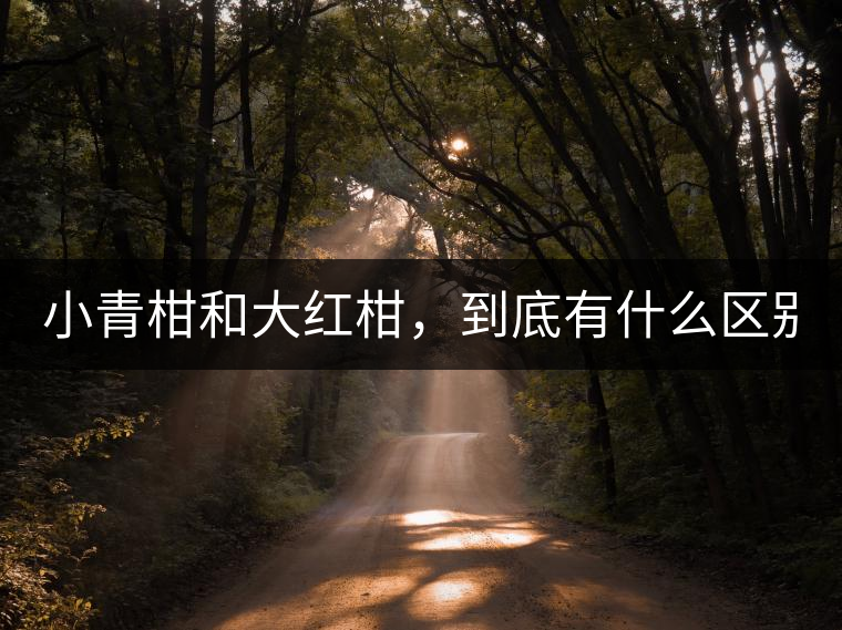 小青柑和大紅柑，到底有什么區(qū)別？