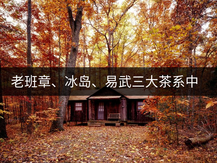 老班章、冰島、易武三大茶系中，“潛力股”為何是易武？