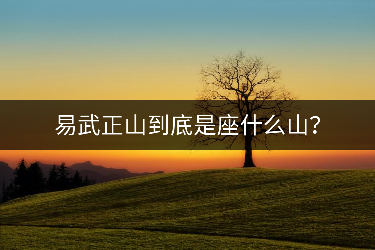 易武正山到底是座什么山？