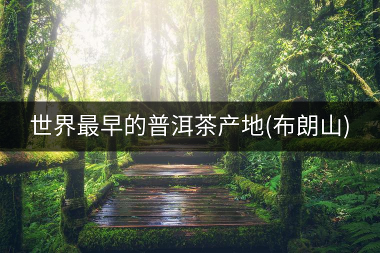 世界最早的普洱茶產地(布朗山)