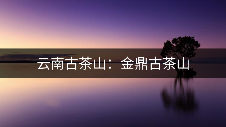 云南古茶山:金鼎古茶山 云南古茶山:金鼎古茶山