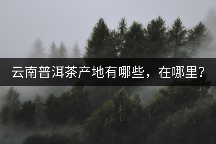 云南普洱茶產(chǎn)地有哪些，在哪里？