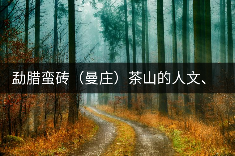 勐臘蠻磚（曼莊）茶山的人文、生態(tài)