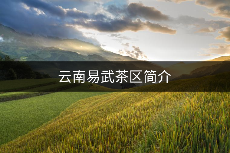 云南易武茶區(qū)簡(jiǎn)介 云南易武茶區(qū)簡(jiǎn)介