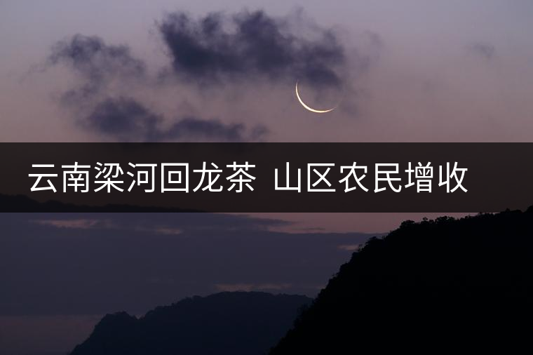 云南梁河回龍茶  山區(qū)農民增收的富民產業(yè)