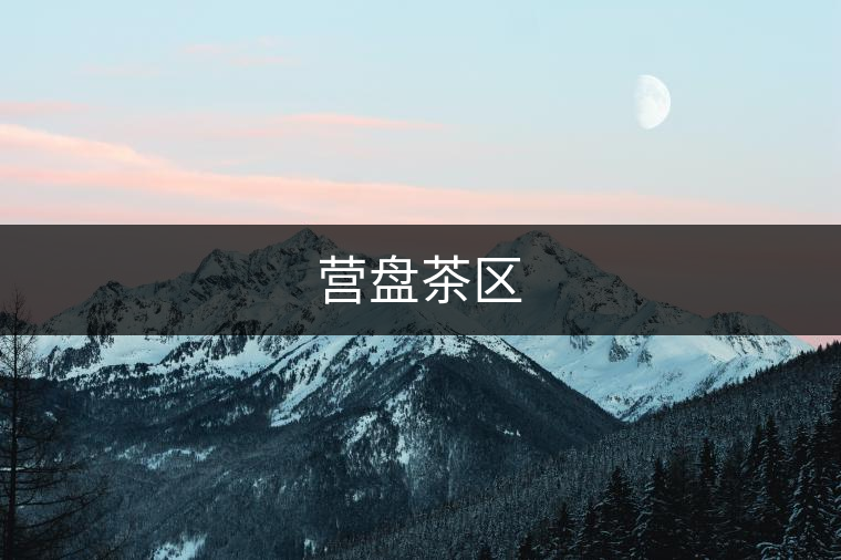 營(yíng)盤茶區(qū)