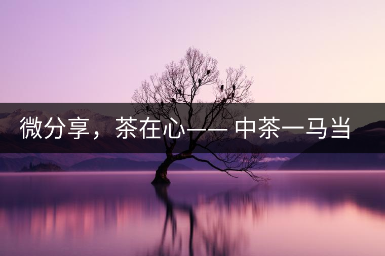 微分享，茶在心—— 中茶一馬當(dāng)先
