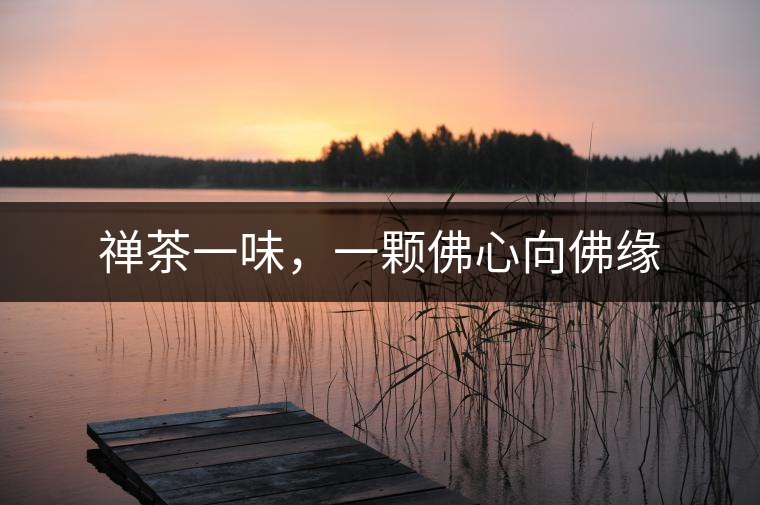 禪茶一味，一顆佛心向佛緣