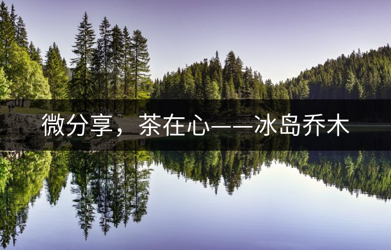 微分享，茶在心——冰島喬木