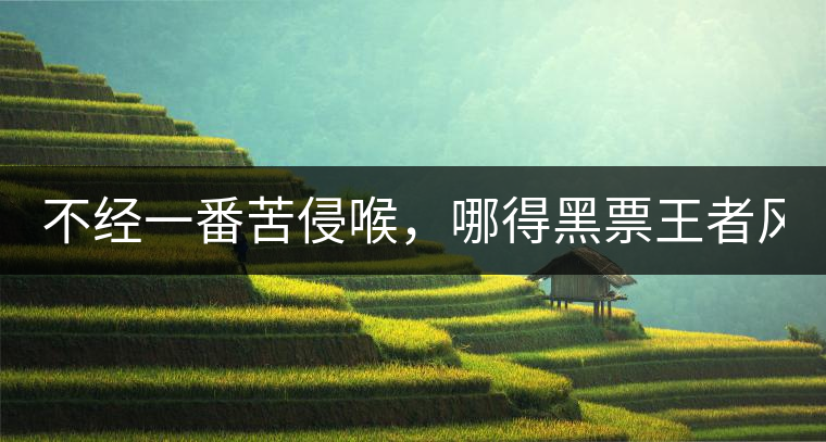不經(jīng)一番苦侵喉，哪得黑票王者風(fēng)！