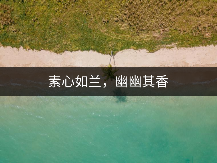 素心如蘭，幽幽其香