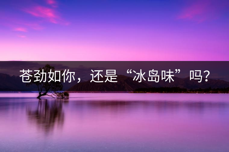 蒼勁如你，還是“冰島味”嗎？