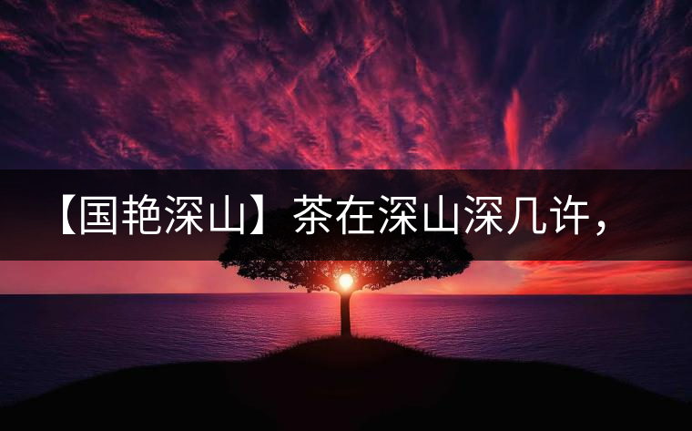 【國艷深山】茶在深山深幾許，布朗味釅釅幾分！