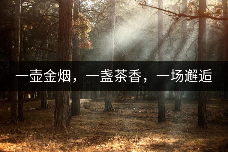 一壺金煙，一盞茶香，一場邂逅