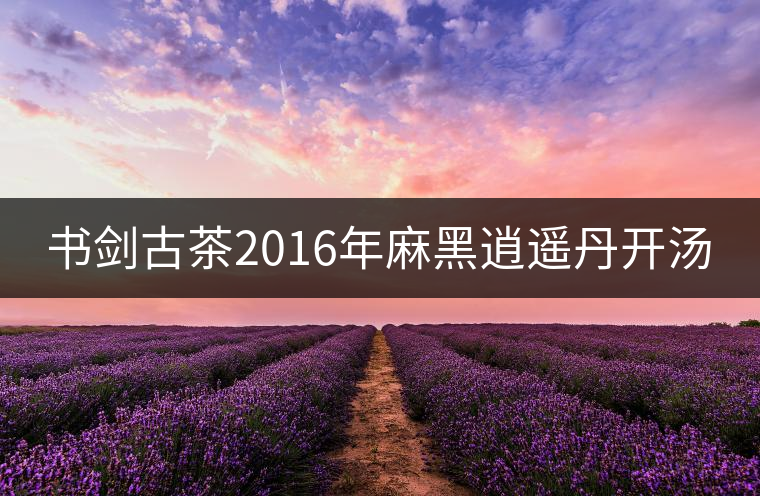 書劍古茶2016年麻黑逍遙丹開湯