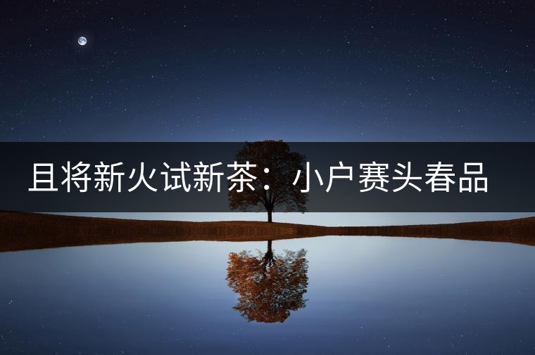 且將新火試新茶:小戶(hù)賽頭春品鑒 且將新火試新茶:小戶(hù)賽頭春品鑒