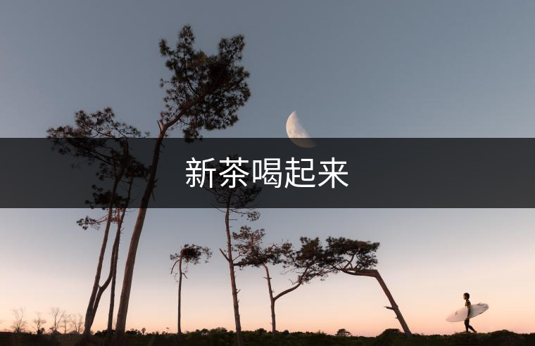 新茶喝起來
