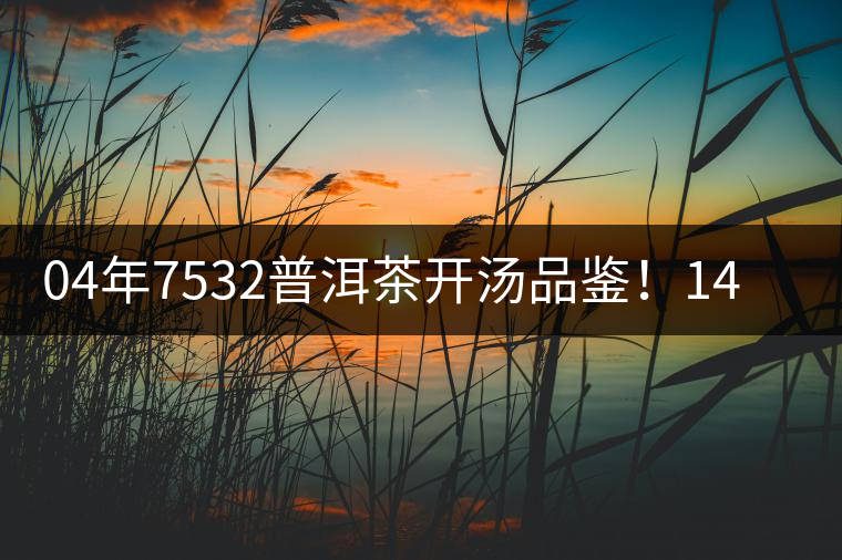 04年7532普洱茶開湯品鑒！14年轉(zhuǎn)化，經(jīng)典雪印配方！