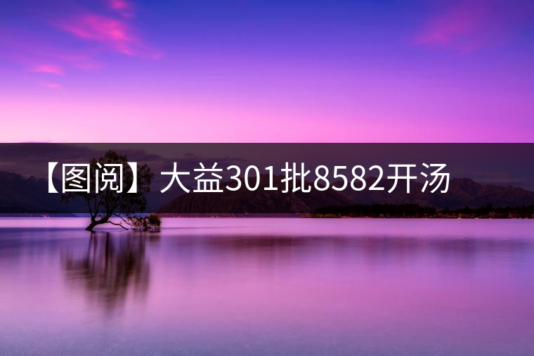 【圖閱】大益301批8582開湯鑒賞