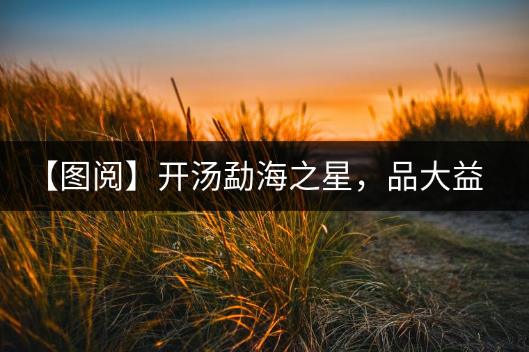 【圖閱】開湯勐海之星，品大益熟茶滋味