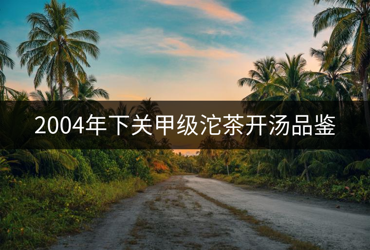 2004年下關(guān)甲級(jí)沱茶開(kāi)湯品鑒