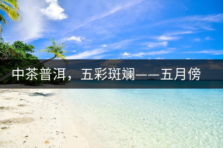 中茶普洱，五彩斑斕——五月傍晚，一道茶