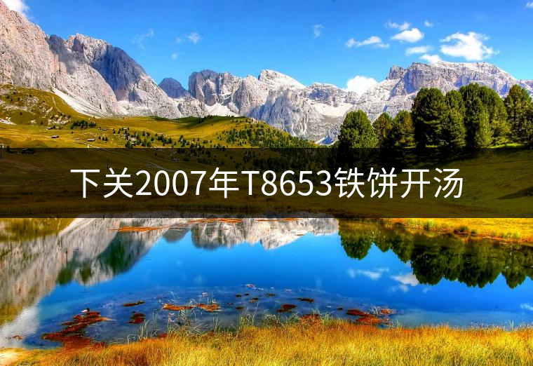 下關(guān)2007年T8653鐵餅開湯 下關(guān)2007年T8653鐵餅開湯