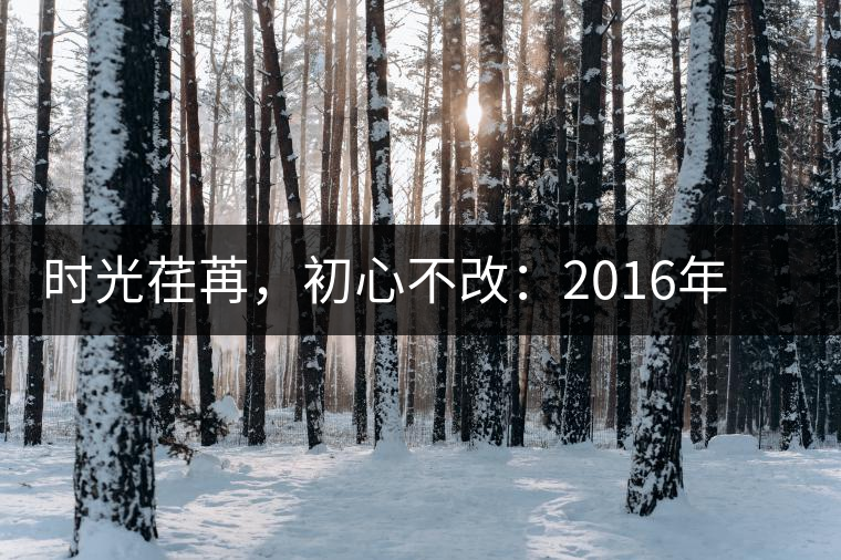 時光荏苒，初心不改：2016年老同志為天下人做好茶開湯