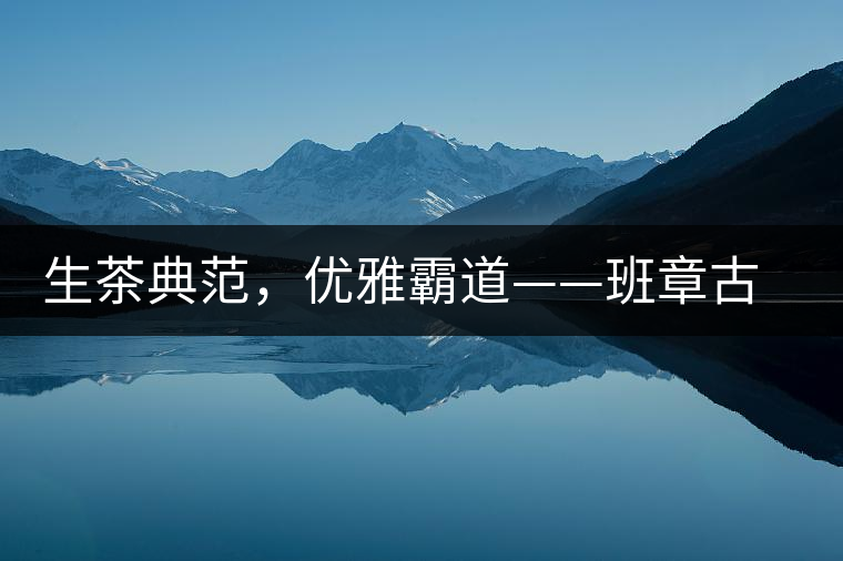 生茶典范，優(yōu)雅霸道——班章古韻