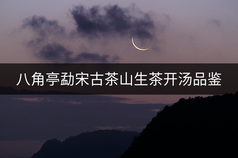 八角亭勐宋古茶山生茶開湯品鑒