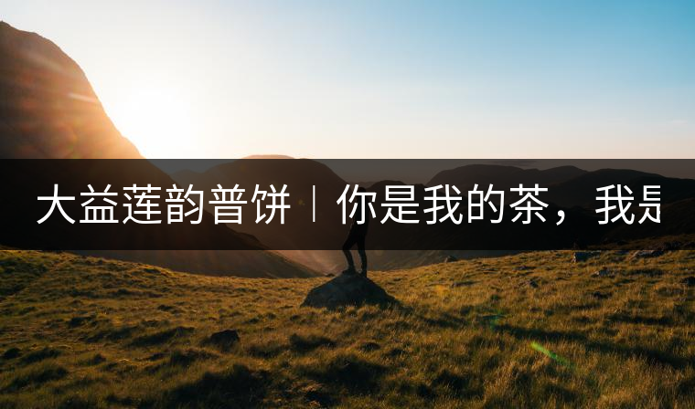 大益蓮韻普餅︱你是我的茶，我是你的人！