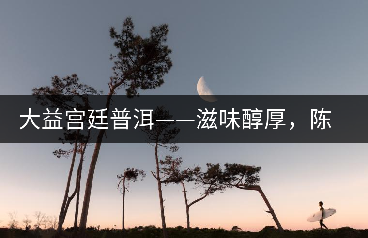 大益宮廷普洱——滋味醇厚，陳香濃郁