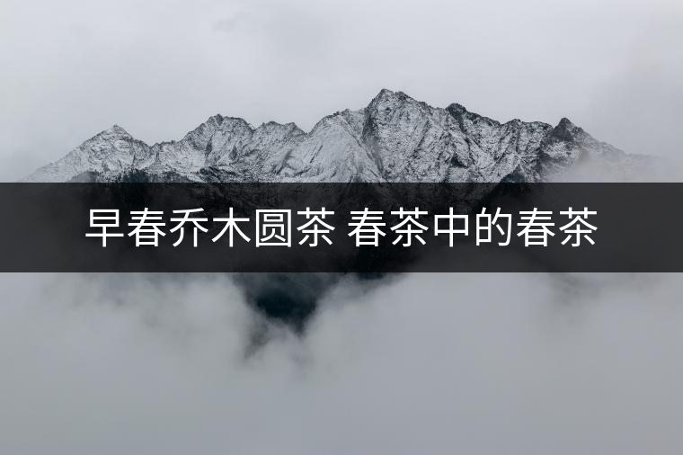 早春?jiǎn)棠緢A茶 春茶中的春茶 早春?jiǎn)棠緢A茶 春茶中的春茶