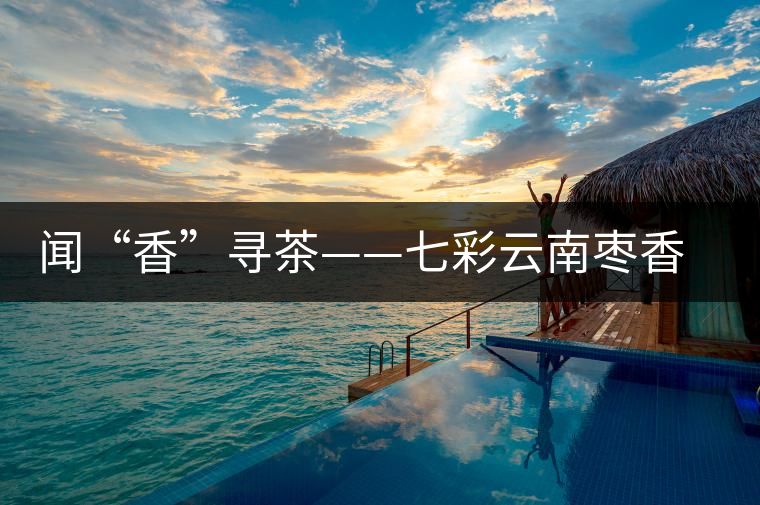 聞“香”尋茶——七彩云南棗香普洱開湯 聞“香”尋茶——七彩云南棗香普洱開湯