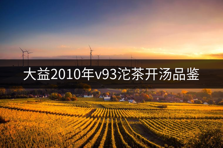 大益2010年v93沱茶開(kāi)湯品鑒 大益2010年v93沱茶開(kāi)湯品鑒