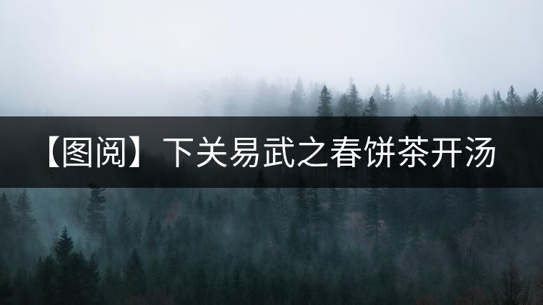 【圖閱】下關易武之春餅茶開湯品鑒 【圖閱】下關易武之春餅茶開湯品鑒