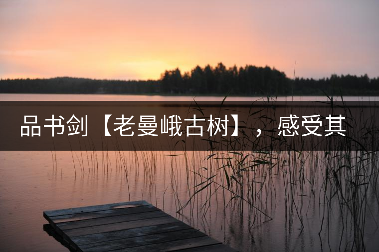 品書劍【老曼峨古樹】，感受其霸道苦韻