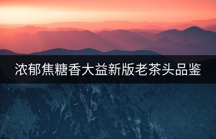 濃郁焦糖香大益新版老茶頭品鑒 濃郁焦糖香大益新版老茶頭品鑒