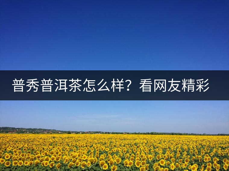 普秀普洱茶怎么樣？看網(wǎng)友精彩回答