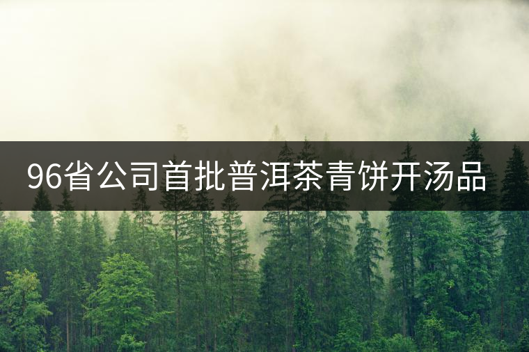 96省公司首批普洱茶青餅開(kāi)湯品鑒 96省公司首批普洱茶青餅開(kāi)湯品鑒