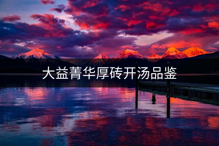 大益菁華厚磚開(kāi)湯品鑒 大益菁華厚磚開(kāi)湯品鑒