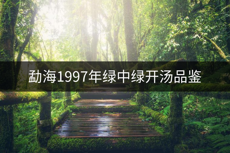 勐海1997年綠中綠開(kāi)湯品鑒