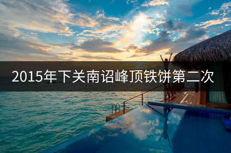 2015年下關(guān)南詔峰頂鐵餅第二次開(kāi)湯品鑒 2015年下關(guān)南詔峰頂鐵餅第二次開(kāi)湯品鑒