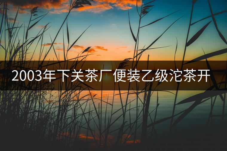 2003年下關(guān)茶廠便裝乙級(jí)沱茶開(kāi)湯品鑒 2003年下關(guān)茶廠便裝乙級(jí)沱茶開(kāi)湯品鑒