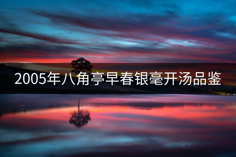 2005年八角亭早春銀毫開湯品鑒