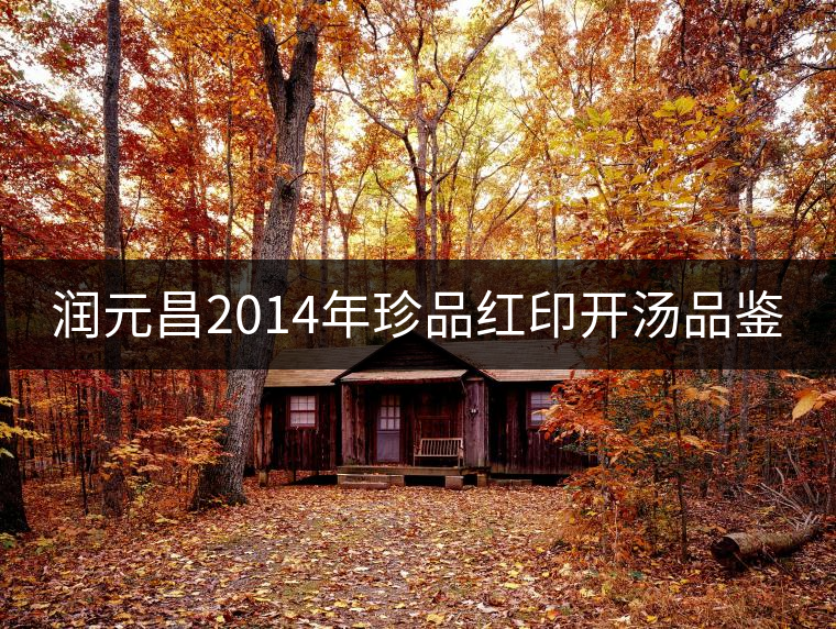 潤(rùn)元昌2014年珍品紅印開(kāi)湯品鑒 潤(rùn)元昌2014年珍品紅印開(kāi)湯品鑒