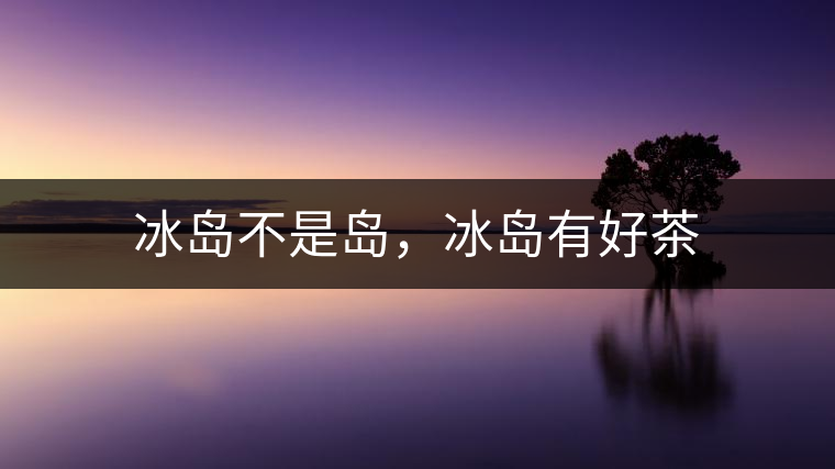 冰島不是島，冰島有好茶