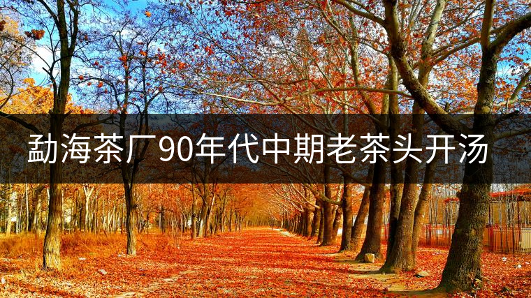 勐海茶廠90年代中期老茶頭開湯品鑒