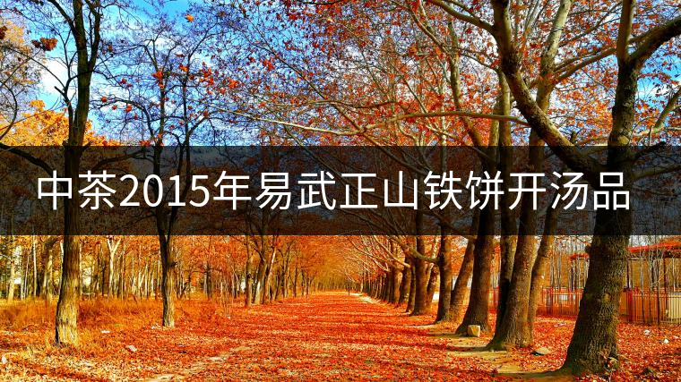 中茶2015年易武正山鐵餅開(kāi)湯品鑒 中茶2015年易武正山鐵餅開(kāi)湯品鑒